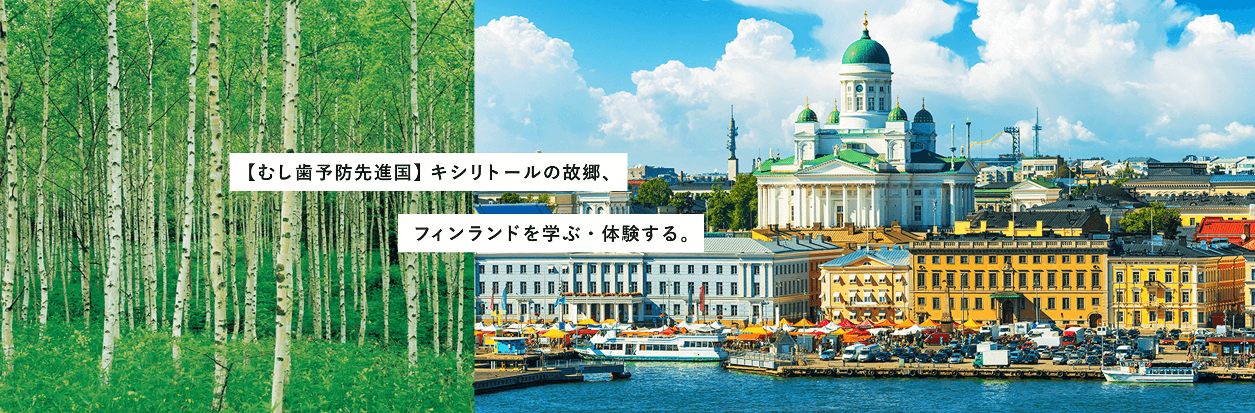 【むし歯予防先進国】キシリトールの故郷、フィンランドを学ぶ・体験する。